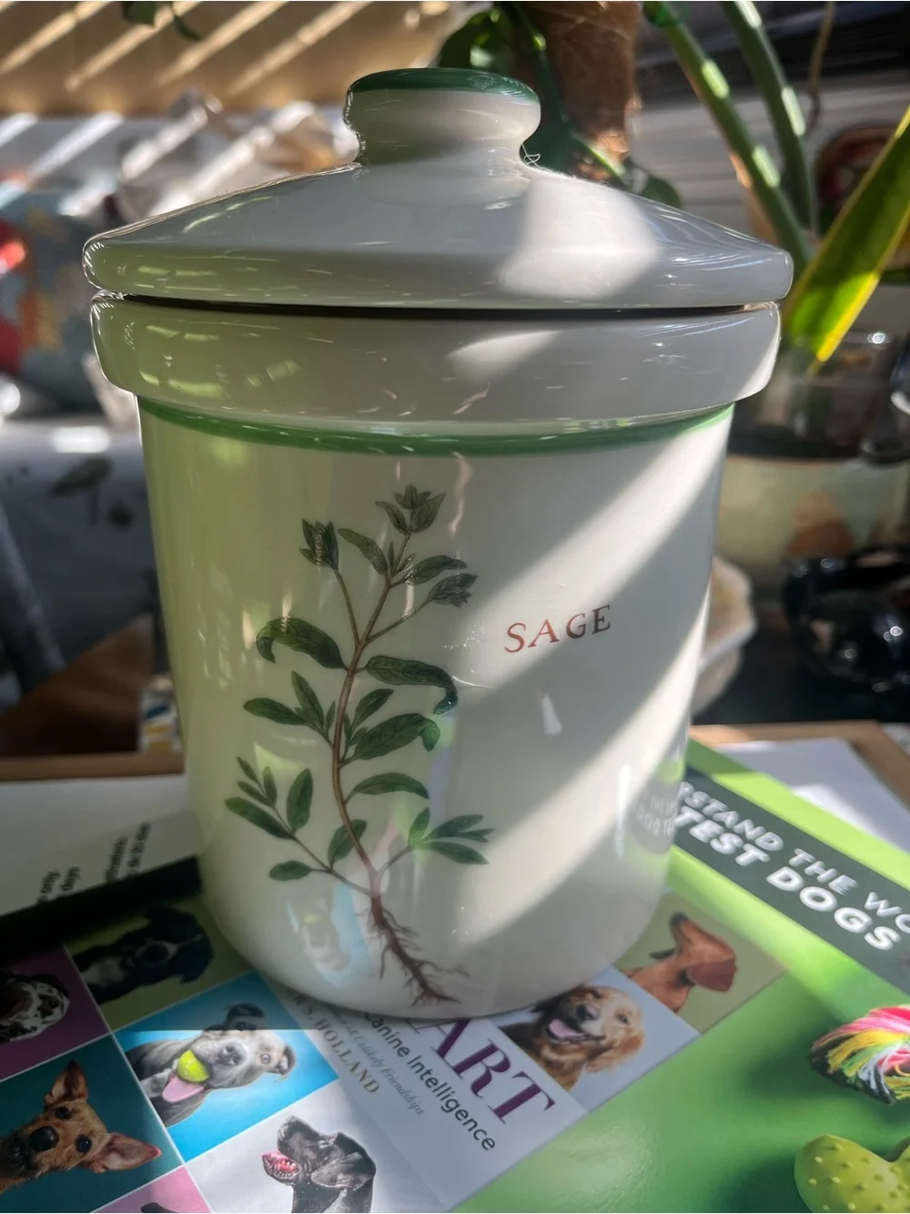 Williams-Sonoma Ceramic Canister Basil 8